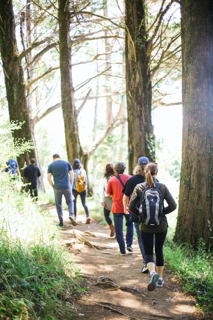 hiking in the woods